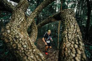 BIB: 
                            <button type="button" onclick="openModal(25393013)" class="btn btn-primary btn-sm float-right btn-popup" data-toggle="modal" data-target=".modal-high-quality">
                        <i class="fas fa-shopping-cart"></i> Add to Cart
                    </button>
                                            <button type="button" onclick="isThisMe(25393013, true)" class="btn btn-success btn-sm float-right btn-popup btn-isme hidden" data-toggle="tooltip" data-placement="bottom" title="นี่คือรูปของคุณใช่ไหม คลิกที่นี่เพื่อเอาเข้าอัลบั้ม">
                        <i class="fas fa-plus"></i> Add to album
                    </button>
                    <button type="button" onclick="isThisMe(25393013, false)" class="btn btn-warning btn-sm float-right btn-popup btn-isnotme hidden">
                        <i class="fas fa-ban"></i> Remove from album
                    </button>